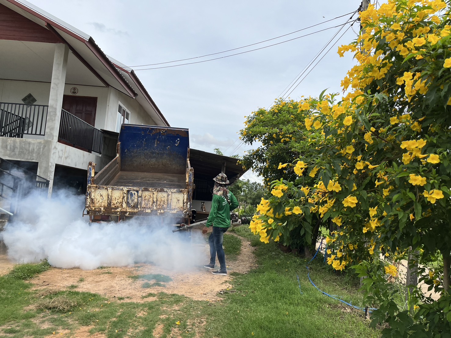 โครงการป้องกันและควบคุมโรคไข้เลือดออก ประจำปี 2567