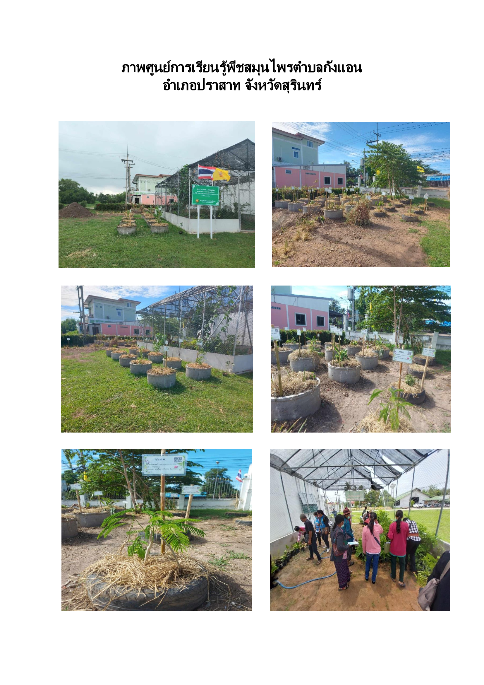 ศูนย์การเรียนรู้พืชสมุนไพร